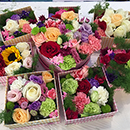 鮮花(真花)也可以用防霉劑防霉?