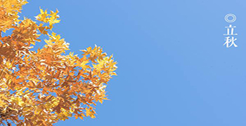 今日立秋，防霉劑廠家提醒您立秋時節注意防霉變