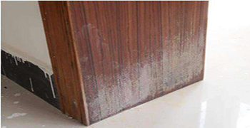 木門發霉了該怎么處理？