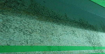 車庫除完霉后多久可以正常使用？