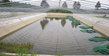 水產養殖必備抗菌劑!