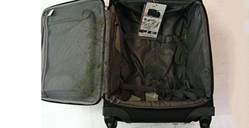 拉桿箱發霉怎么辦?這個方法你還不知道嗎?