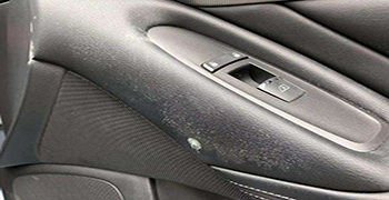 原來汽車這些地方都是霉菌的聚集地!你知道多少呢?