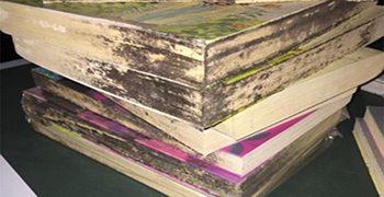 書本如何做好防霉措施？防霉劑廠家教你這樣做！