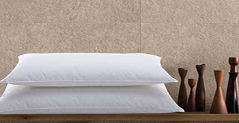 枕芯發(fā)霉怎么辦？防霉劑廠家教你一招