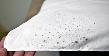 導(dǎo)致紡織物品霉變的因素有哪些？