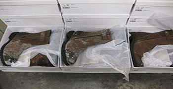 倉庫皮鞋發霉可以這樣處理！