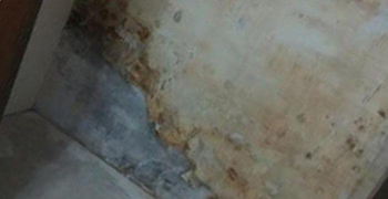 霉博士告訴你廁所墻壁發(fā)霉的處理方法！