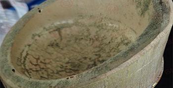 竹筒長霉怎么辦？應對措施趕緊收集起來！