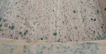 中纖板為什么會發(fā)霉？中纖板的防霉措施！