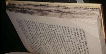 收藏的圖書為什么會發霉？圖書的防霉措施！