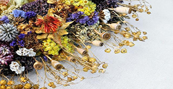 干花發(fā)霉怎么辦？霉博士教你干花防霉措施！