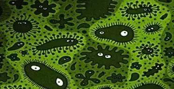 防霉劑廠家告訴你霉菌和細(xì)菌帶來的危害有哪些？