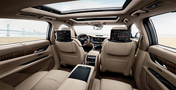 防霉劑廠家教你如何給汽車防霉防潮!