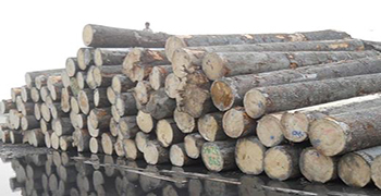 想知道木材為什么會變色嗎?防霉劑廠家來告訴你!