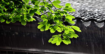 防霉劑廠家告訴你多雨季節如何防霉防潮!