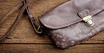 皮包為什么會發(fā)霉?-贊譽防霉