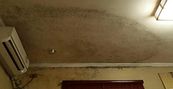 除霉劑廠家告訴你臥室墻面發霉還能睡嗎?