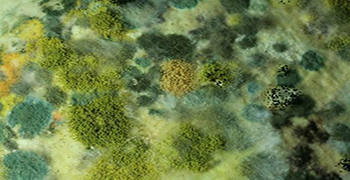 發霉的條件是什么?