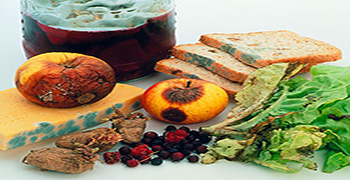 微生物災(zāi)害所涉及的領(lǐng)域有多少(一)?