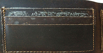 微生物災(zāi)害所涉及的領(lǐng)域有多少(二)?