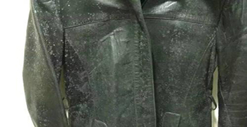 微生物對皮革制品腐蝕的機理！