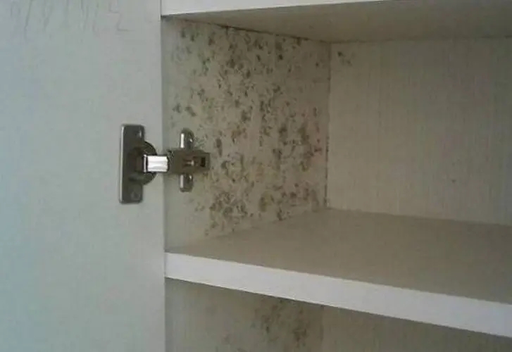 衣柜發霉了怎么辦?