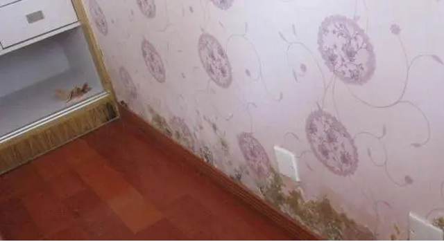 墻布發霉了怎么辦?