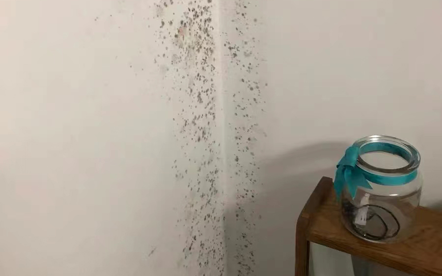墻面發(fā)霉怎么處理?教你一招自己在家就能解決