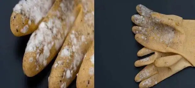 塑膠手套發霉了怎么辦?工廠必看塑膠手套防霉方案!