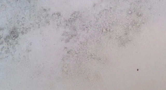 墻壁頻頻發霉?那是因為你還沒有用過防霉涂料