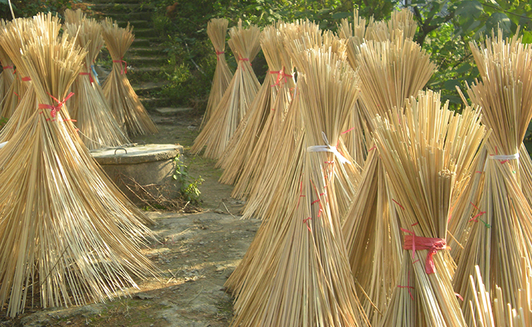 贊譽防霉 贊譽防霉