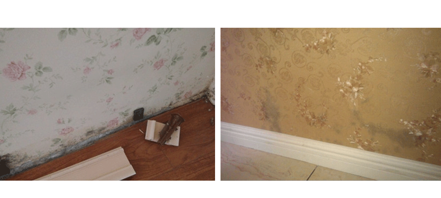 墻紙發霉 墻紙發霉