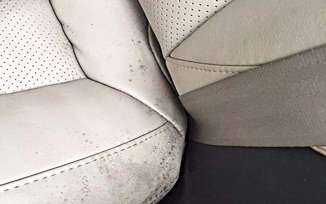 座椅發(fā)霉 座椅發(fā)霉