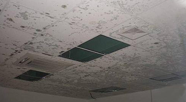 石膏板發霉 石膏板發霉