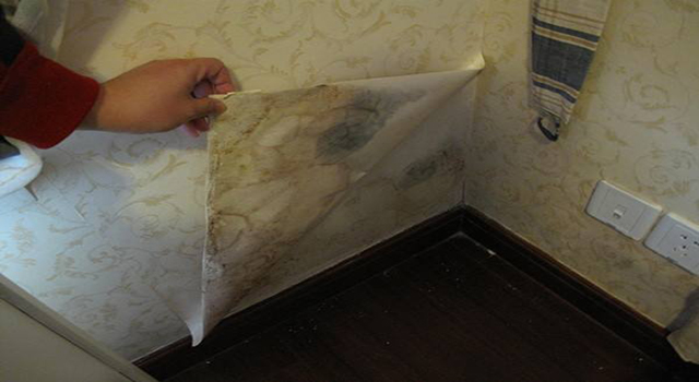 發(fā)霉的舊墻