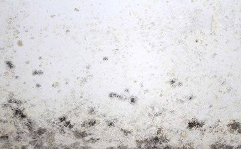 墻面發(fā)霉 墻面發(fā)霉