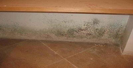 宿舍發霉 宿舍發霉