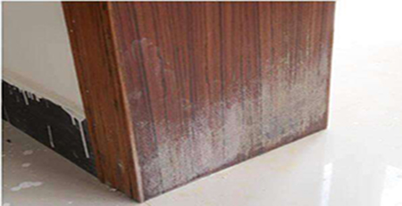 木門發霉 木門發霉