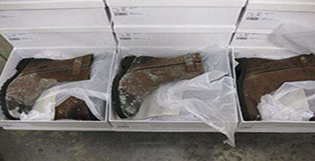 倉庫鞋子發(fā)霉 倉庫鞋子發(fā)霉