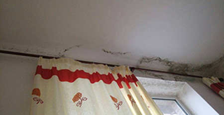 二手房發霉 二手房發霉