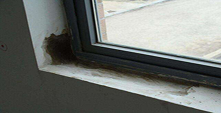 窗邊發霉 窗邊發霉