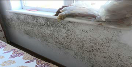 墻面發霉 墻面發霉