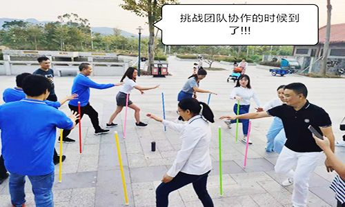 不倒森林 不倒森林