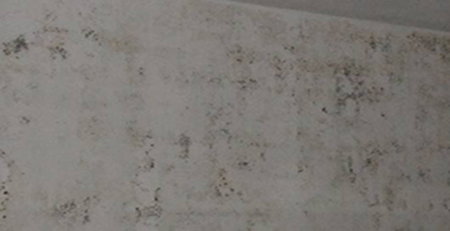 墻面發霉 墻面發霉