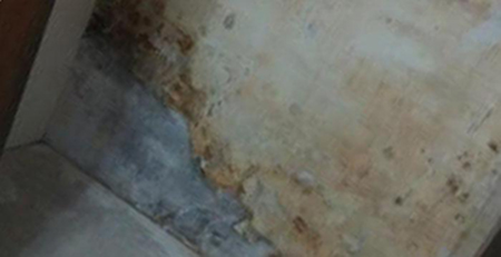 廁所墻壁發(fā)霉 廁所墻壁發(fā)霉