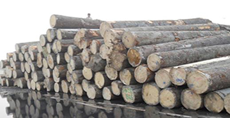木材 木材