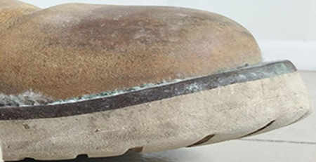 皮鞋發霉 皮鞋發霉