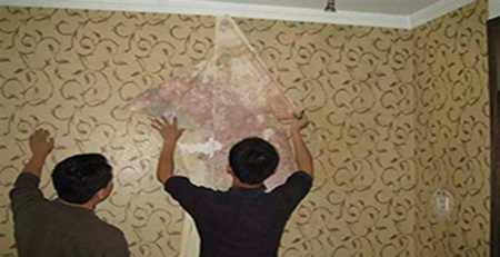 墻布發(fā)霉 墻布發(fā)霉