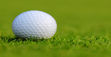 高爾夫球 高爾夫球